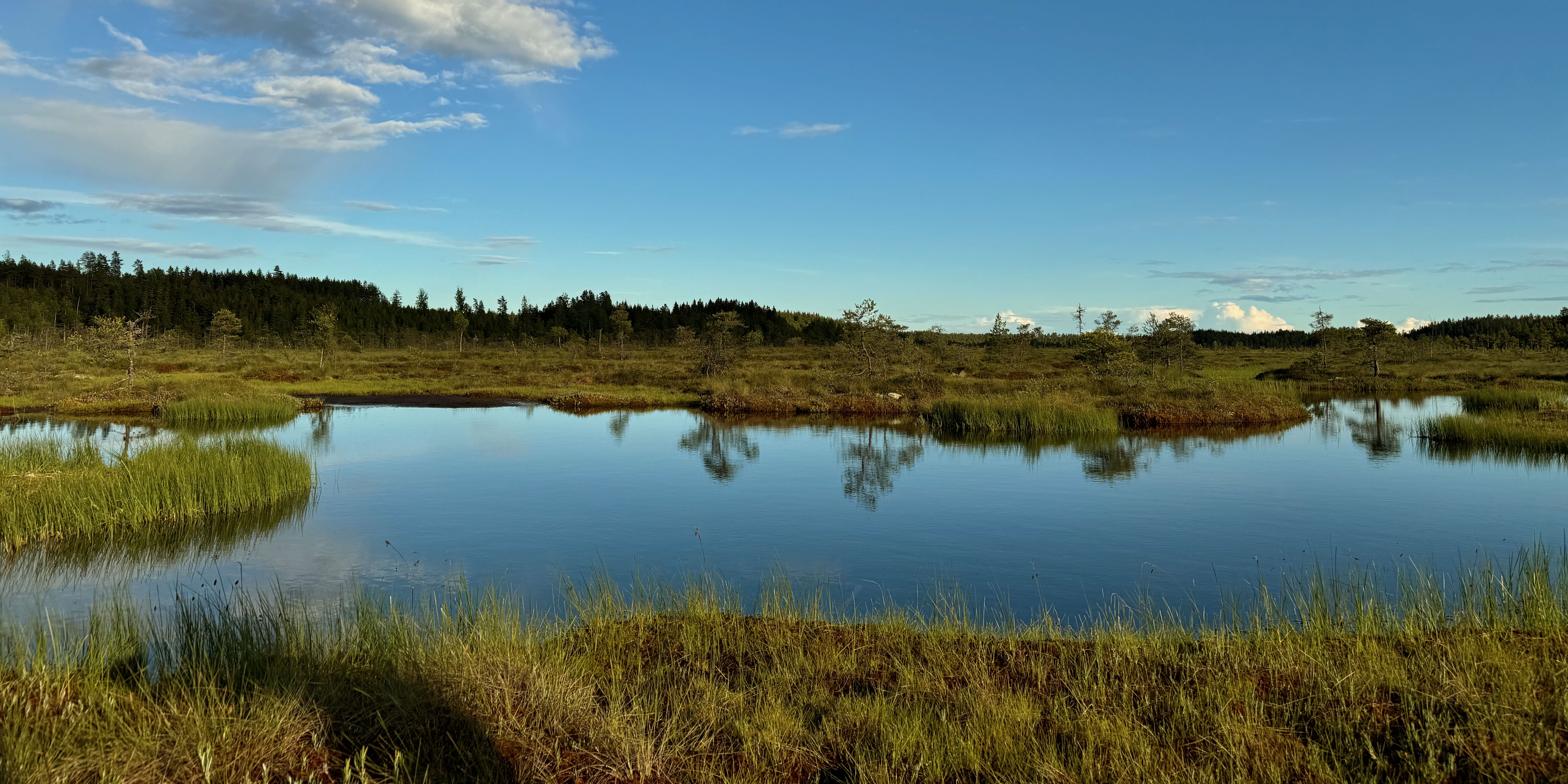 peatland landscape sweden